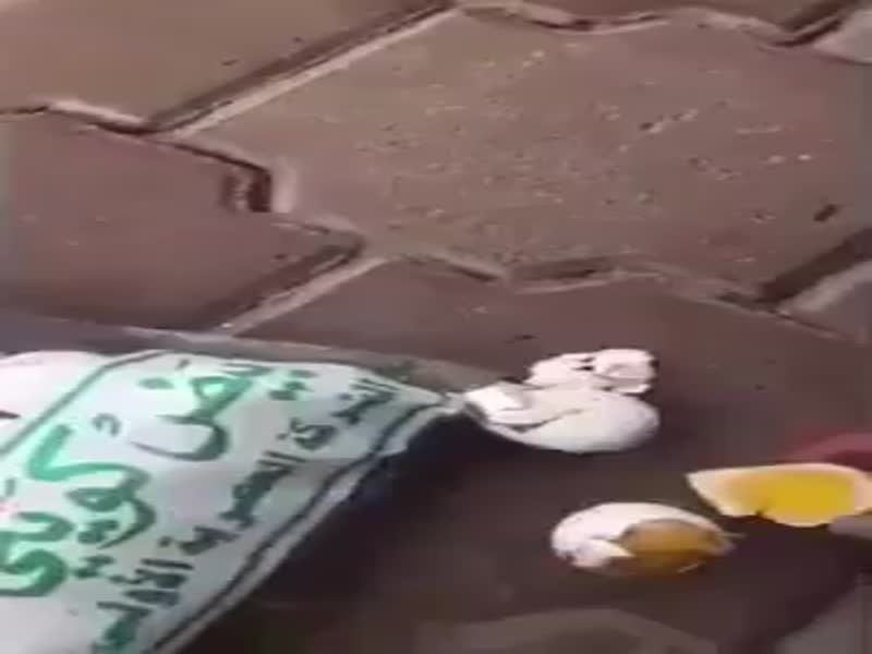 بالفيديو: نسي البيض في السيارة، وصُدم لحاله عند عودته!